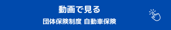 動画で見る 団体保険制度 自動車保険